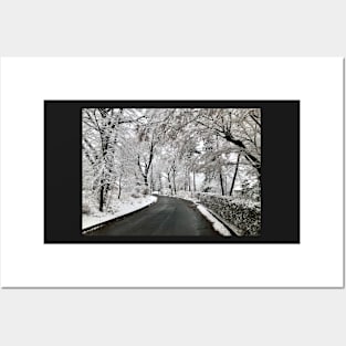 Winter Road Posters and Art